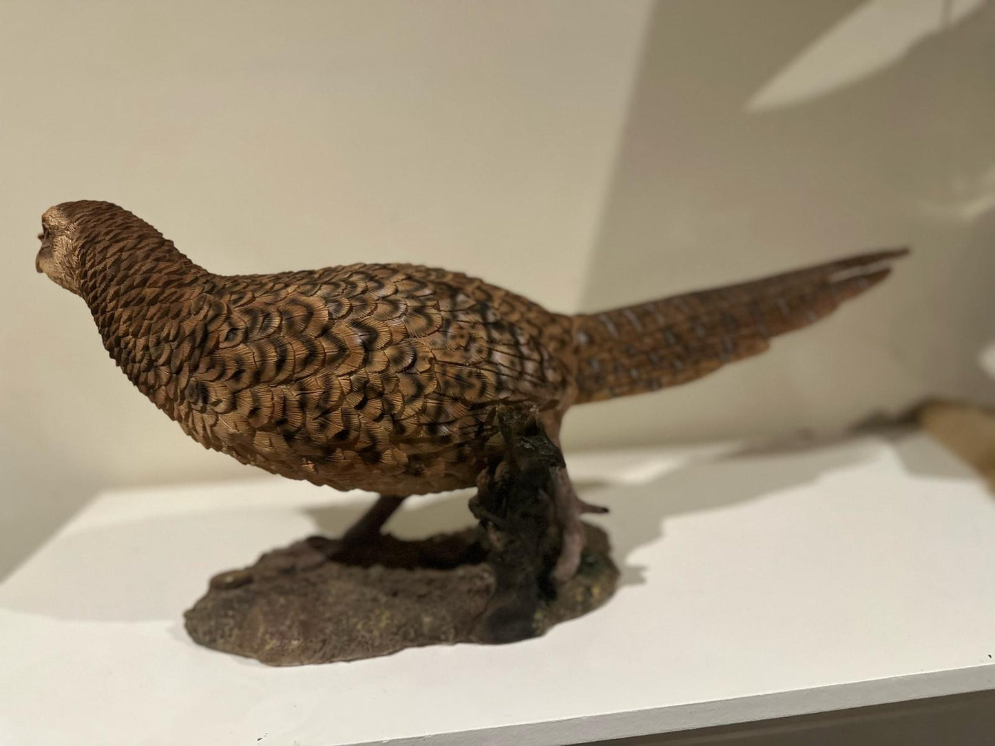 Fazant - origenele kleuren