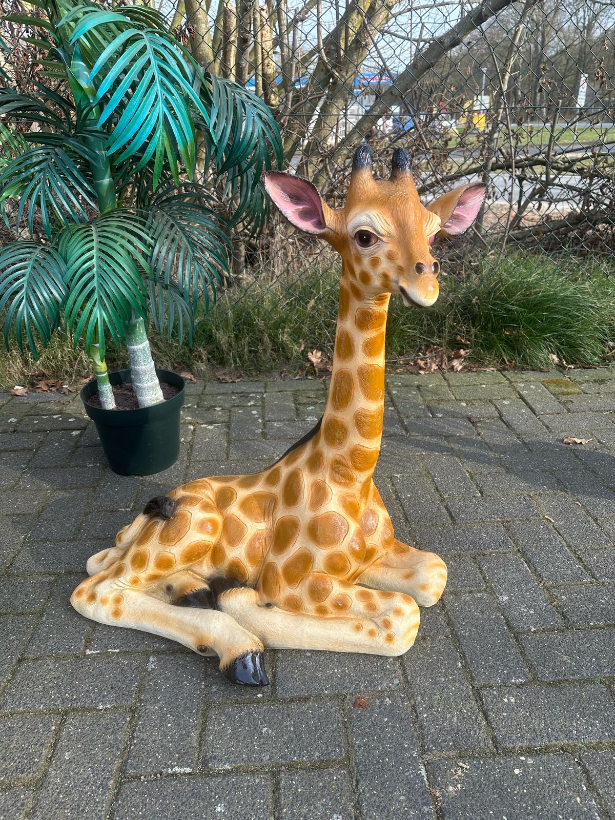 Giraf- liggend- 85 cm hoog - originele kleur