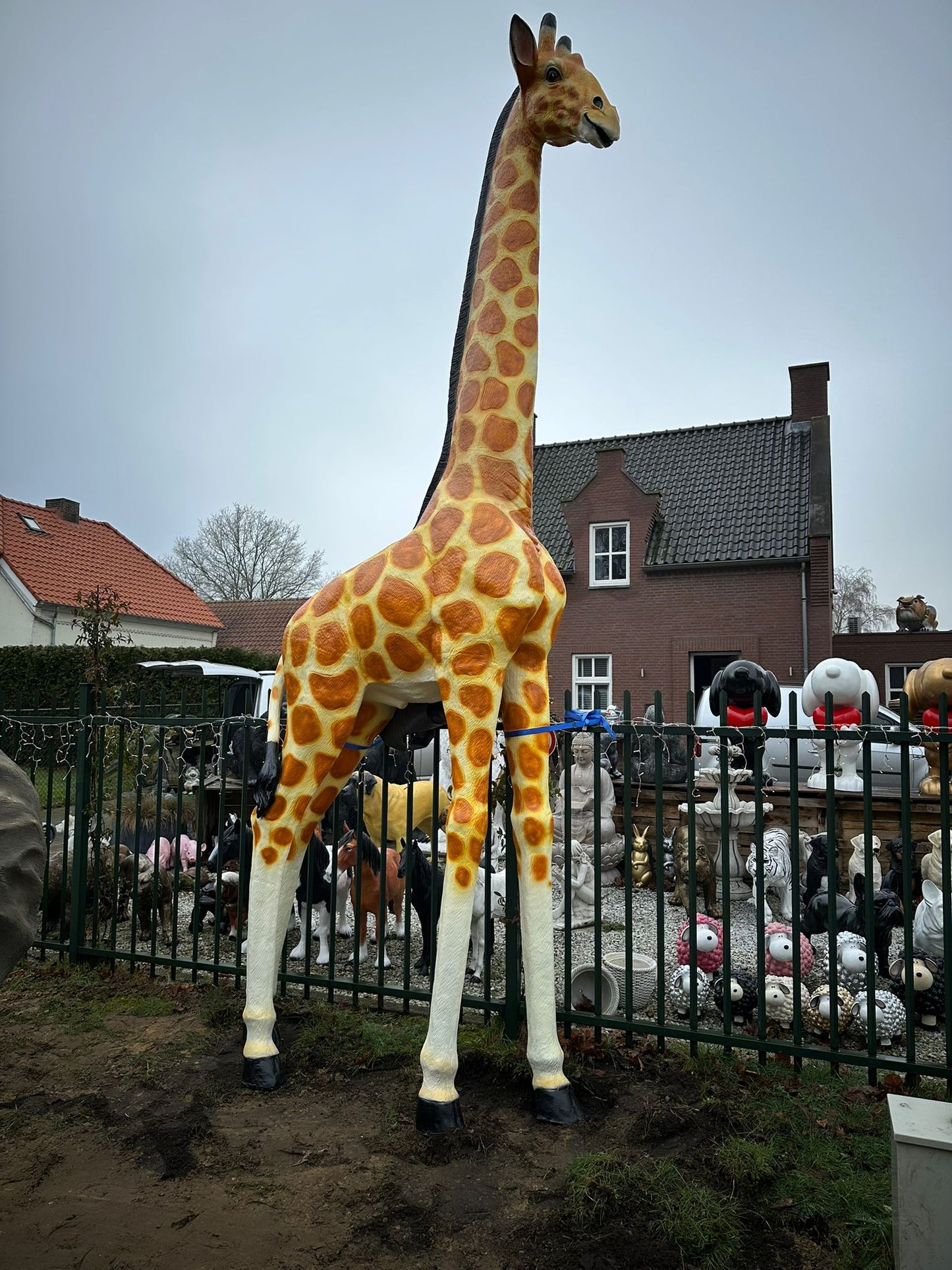 Jungle dieren- Giraf- Mega Giraf - XXXXXL -530 cm hoog - originele kleur