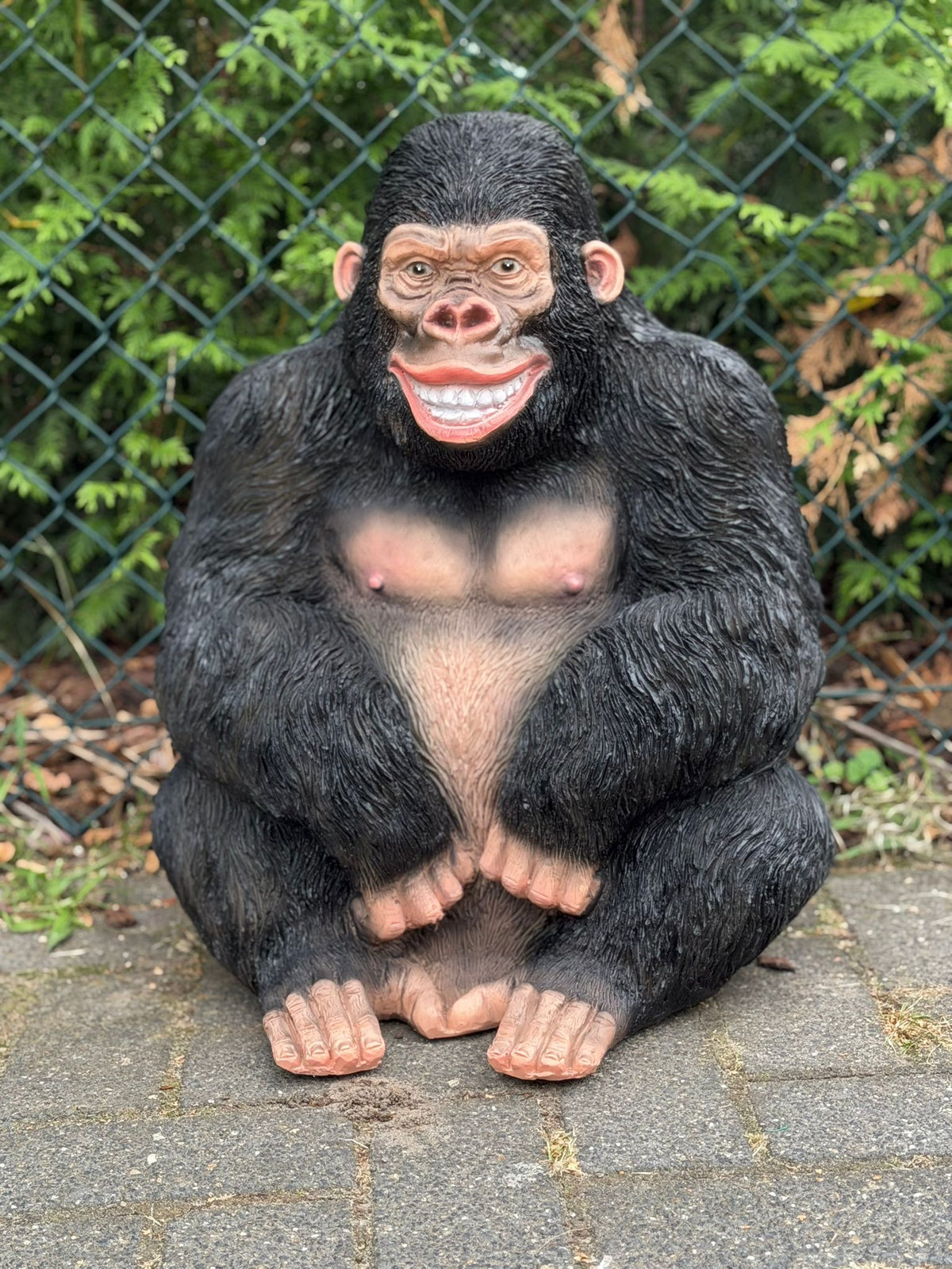 Nieuw model Gorilla lachend kijkend en zittend
