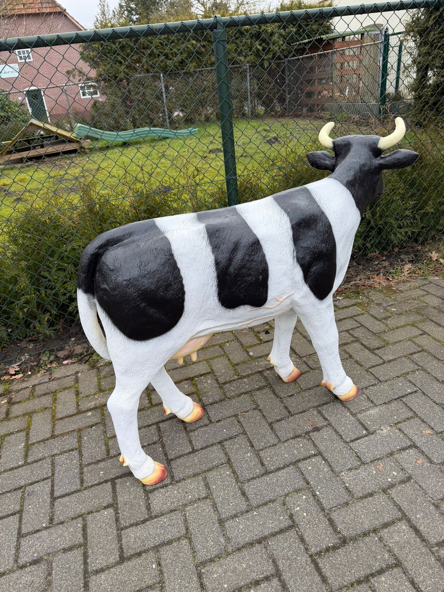 Koe - koeien - staand - 100cm hoog - 135cm lang - met hoorns