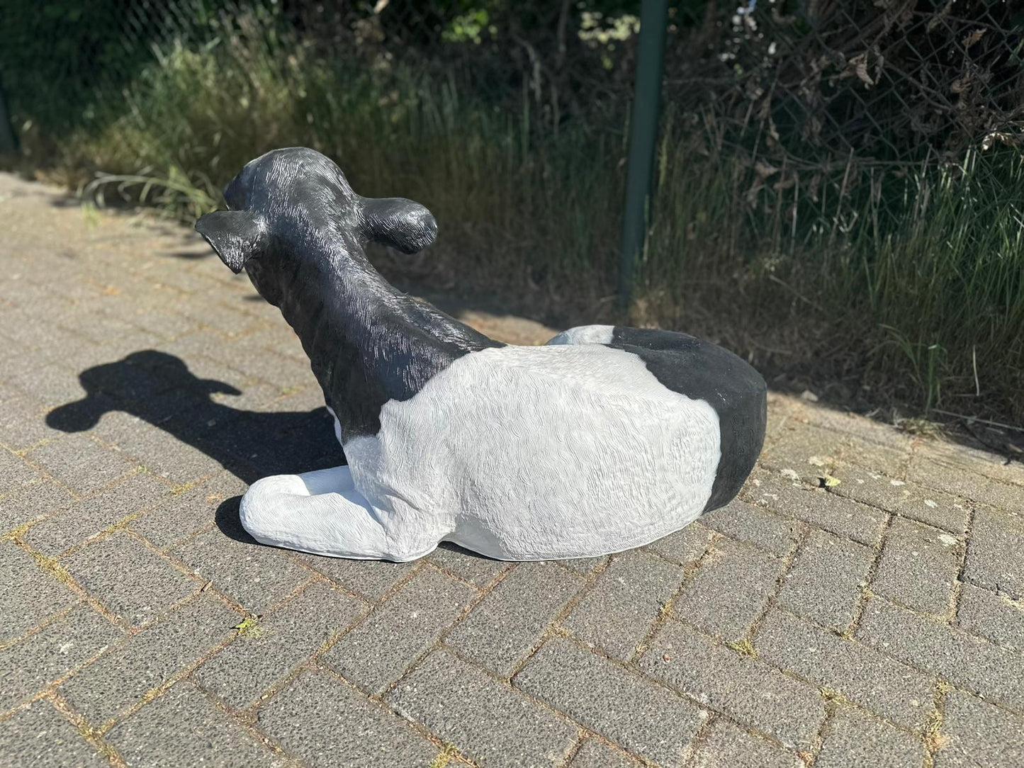 Koe kalf ruw liggend (45cm hoog)