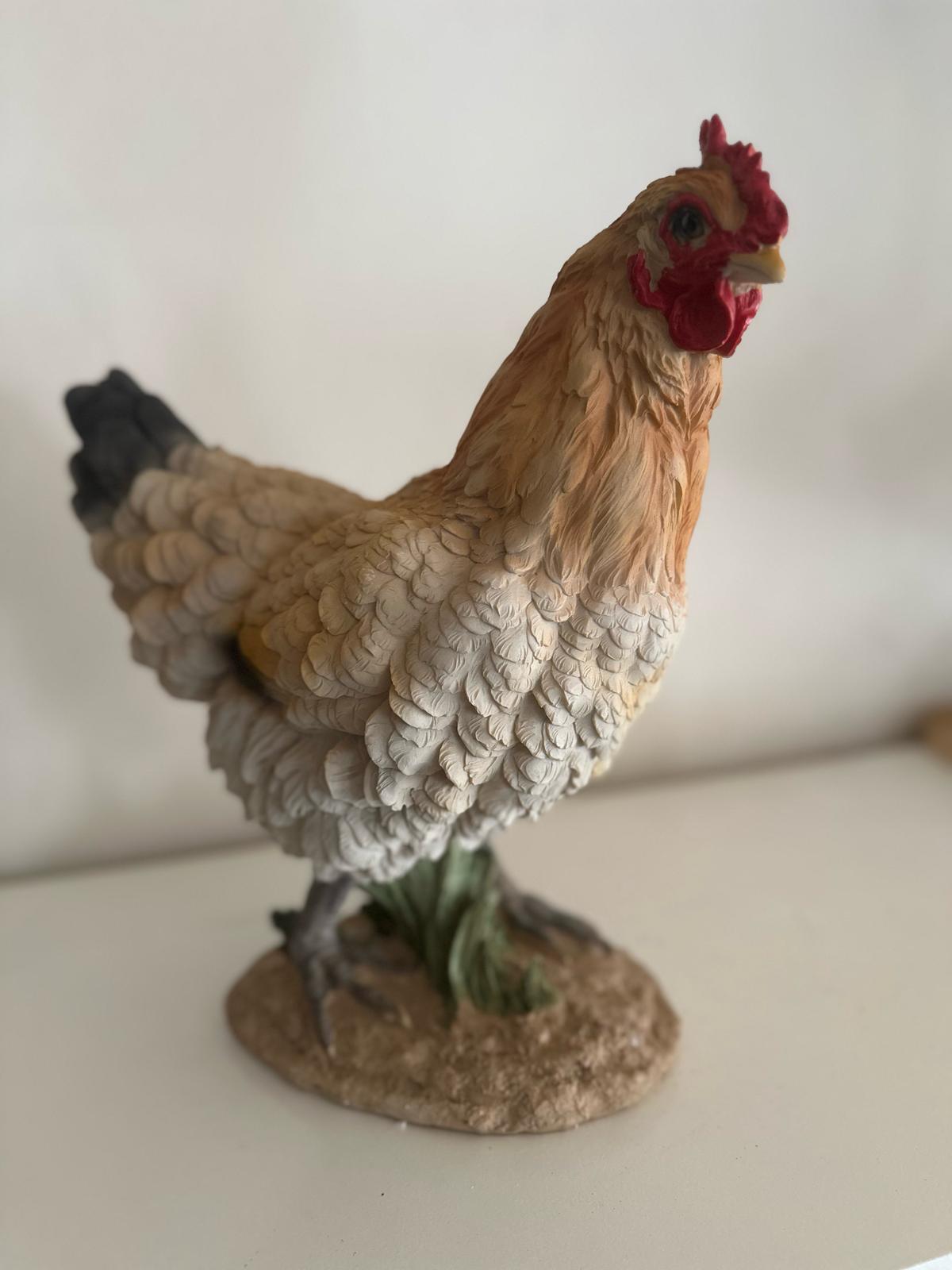 Kippen - Kip - Staande kip - Bruin