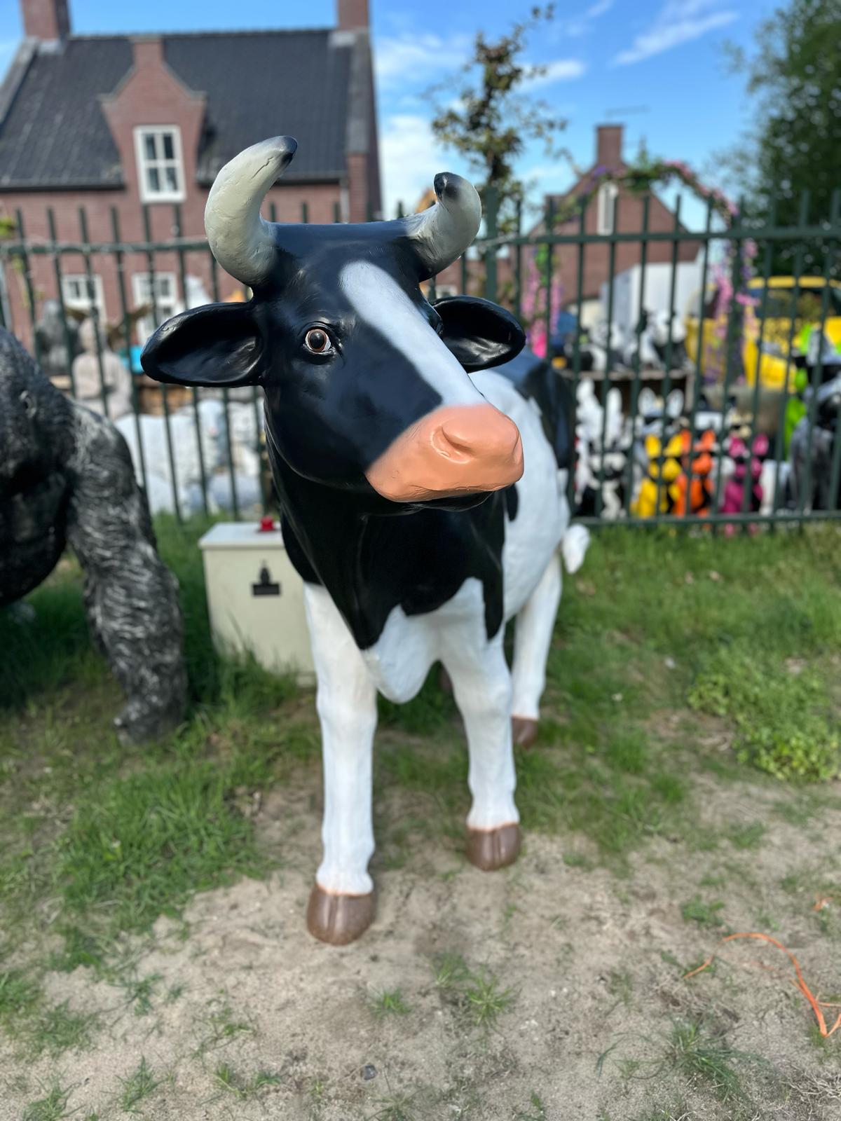 Levensgrote koe staand (210cm lang)