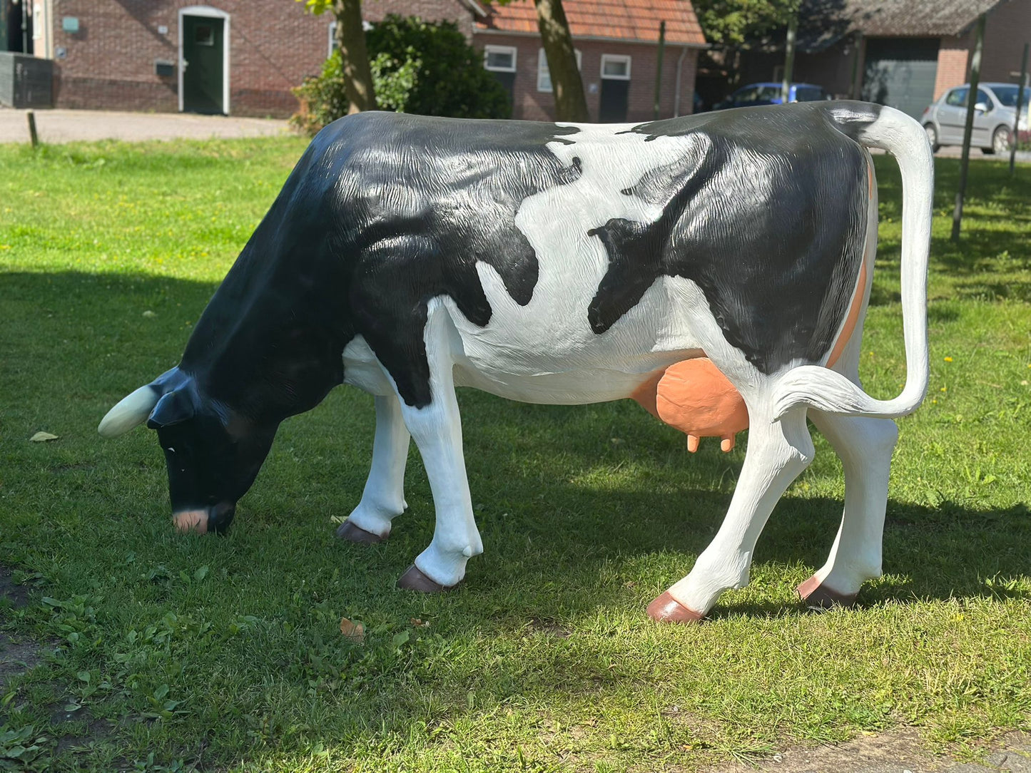 Levensgrote koe zwart/wit grazend (210cm lang)