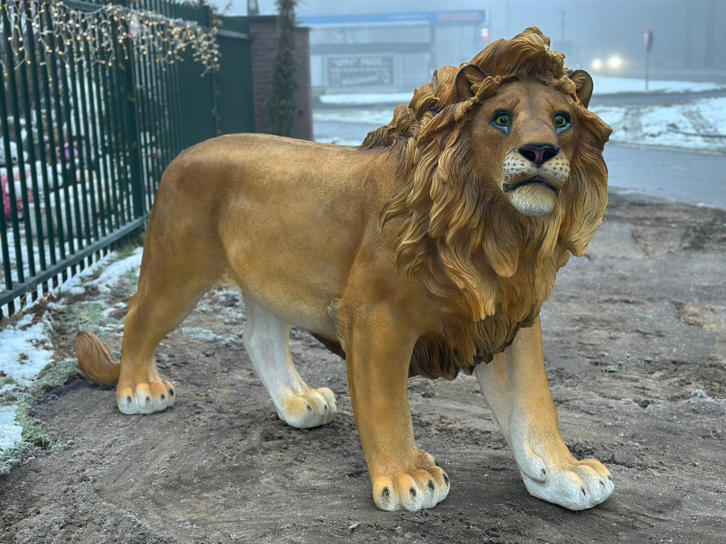 Leeuw - Staande Leeuw - XXXXL - Orginele kleur - 250cm Lang