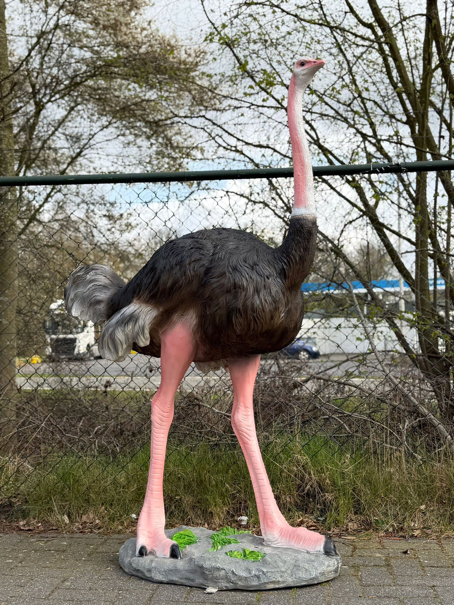 Vogel- Struisvogel - XXL -175 cm hoog - originele kleur