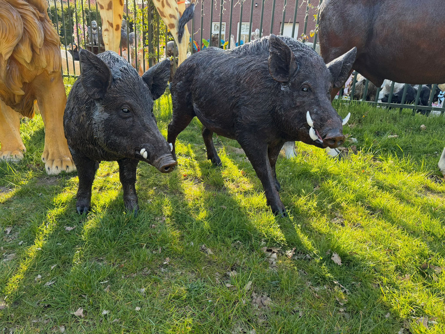 Set everzwijnen - mannelijk en vrouwelijk - XXXL - staand - bruin
