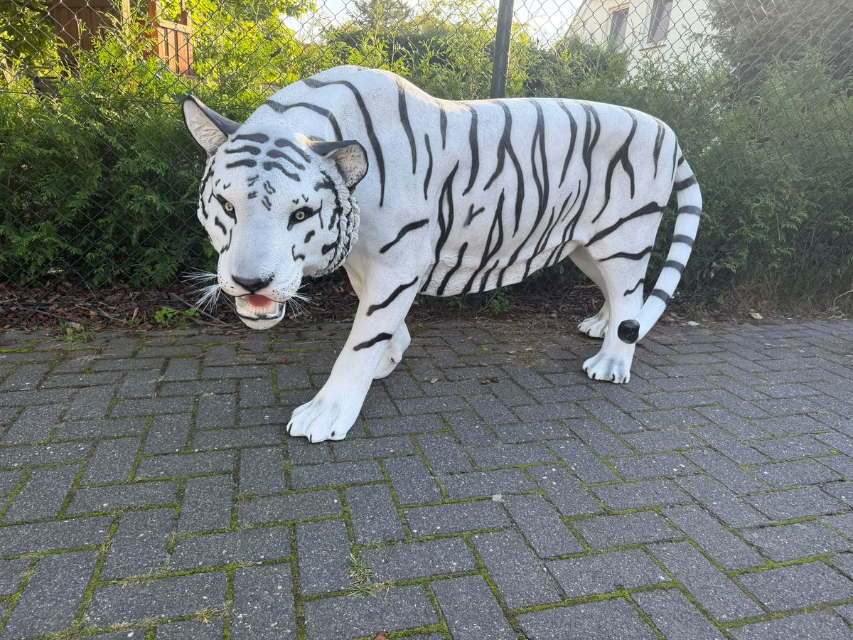 Witte Tijger - Tijger - XXXXL -