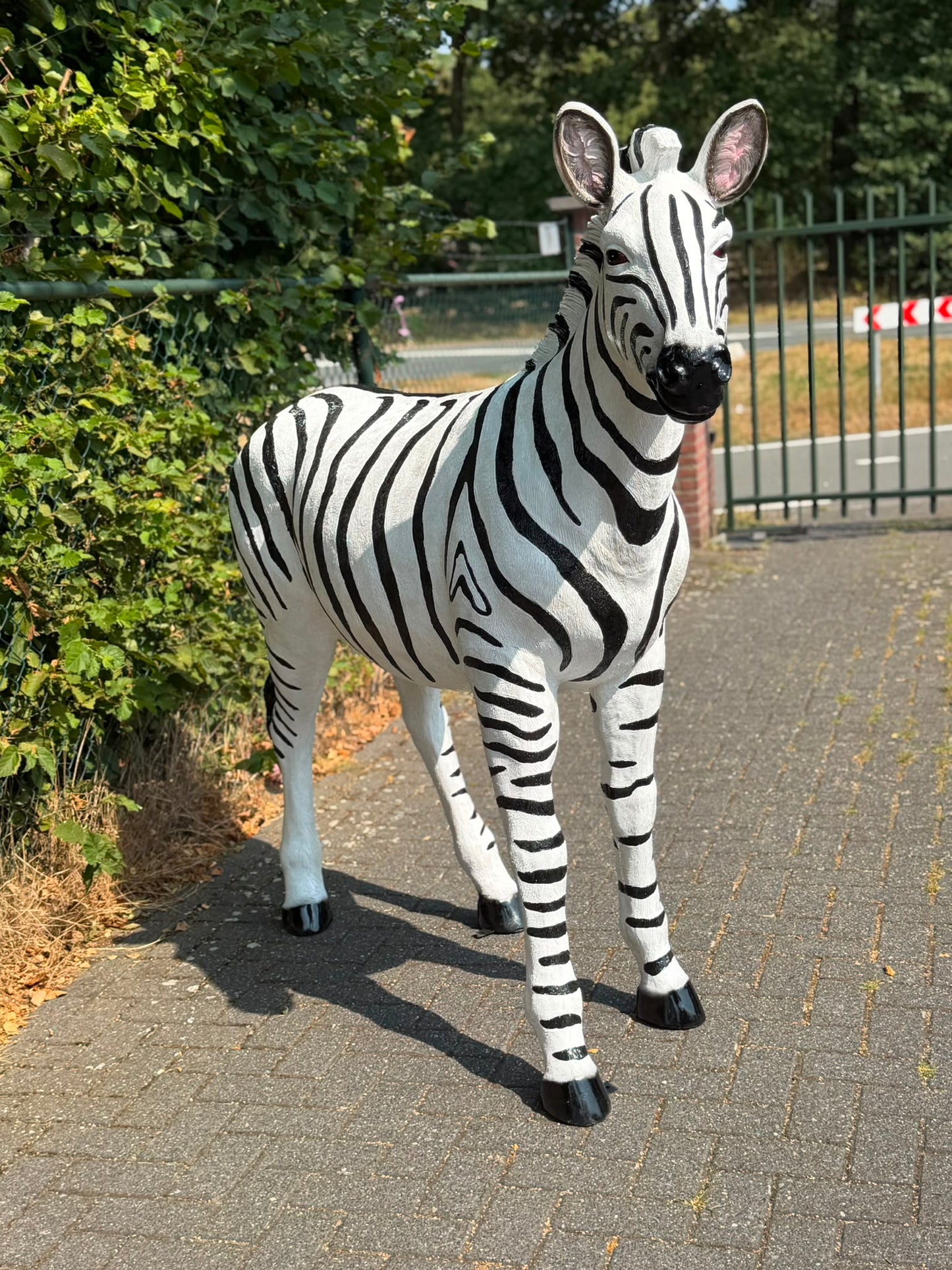 Mooi grote Zebra (170 cm hoog en 180 cm lang)