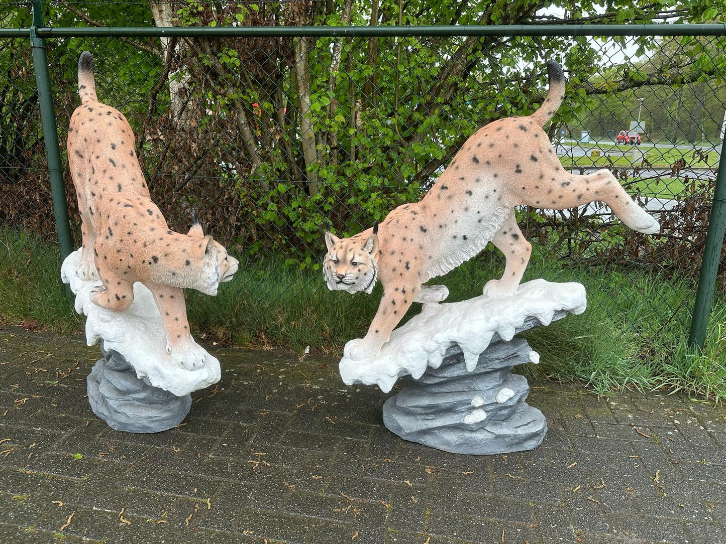 Lynx op rots (150cm lang)