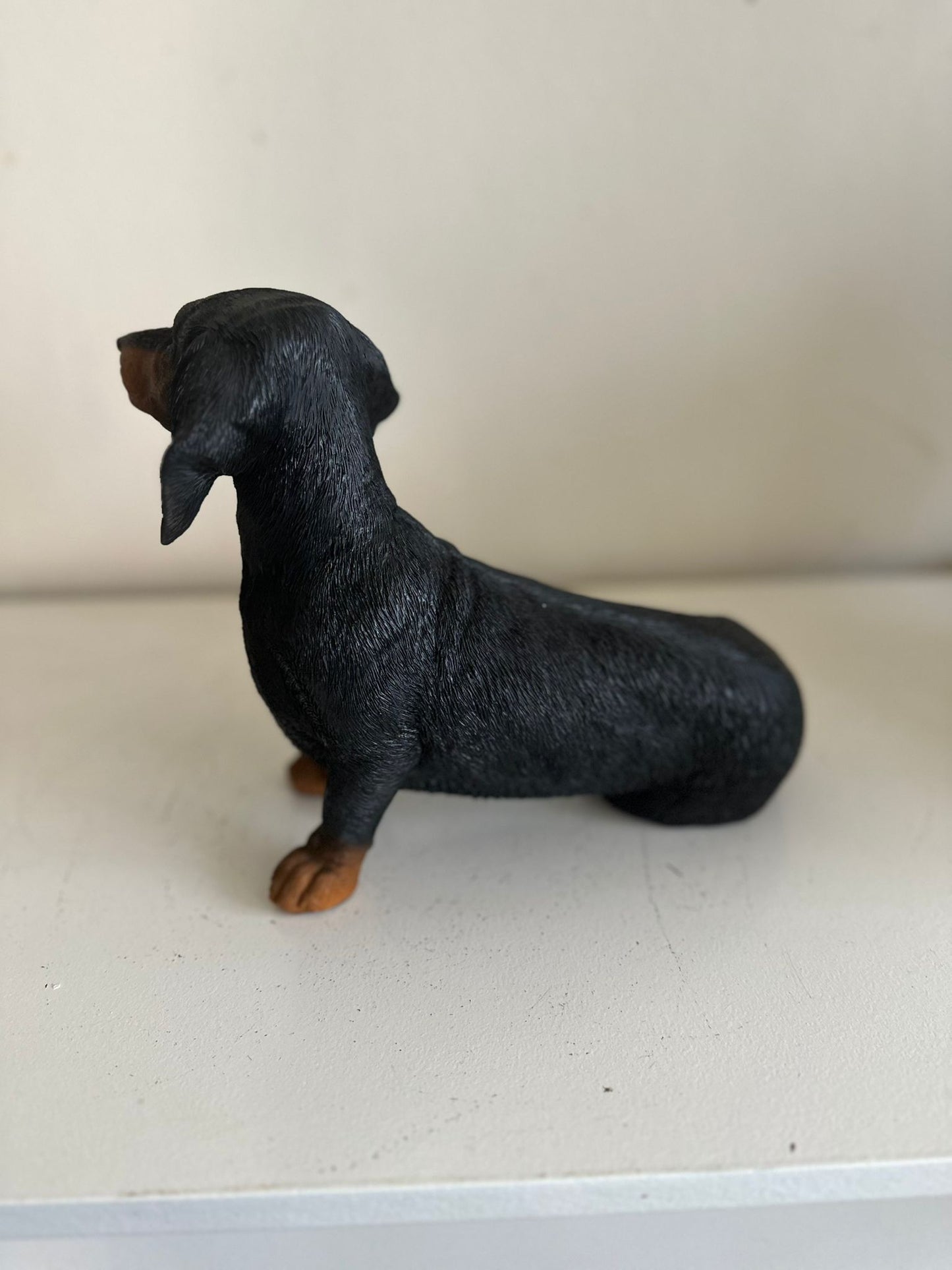 Teckel - Teckels - Zittend - Zwart of bruin - Super leuk