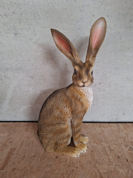 Haas - Hazen - zittend - 54cm hoog - originele kleur