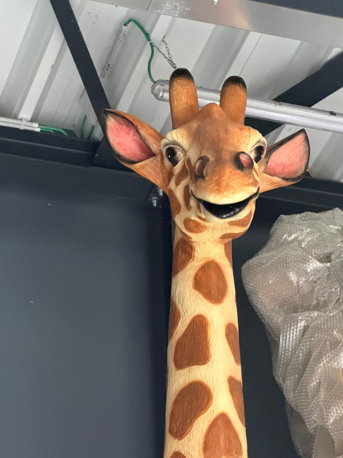 Jungle dieren- Giraf- Mega Giraf - XXXXXL -530 cm hoog - originele kleur