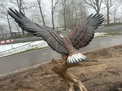 Zeer grote Adelaar op boomstam (225 breed en 215 hoog)