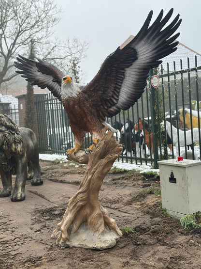 Zeer grote Adelaar op boomstam (225 breed en 215 hoog)