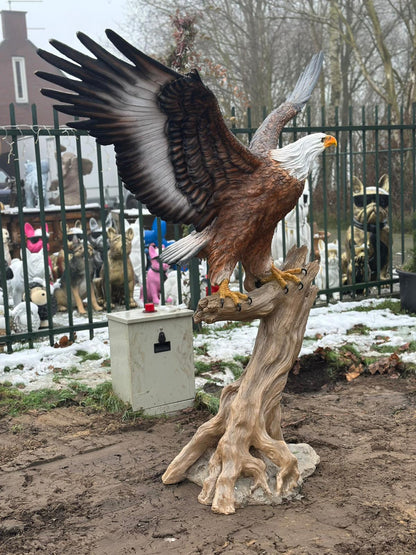 Zeer grote Adelaar op boomstam (225 breed en 215 hoog)