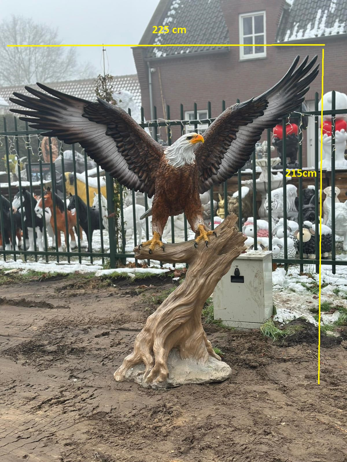 Zeer grote Adelaar op boomstam (225 breed en 215 hoog)