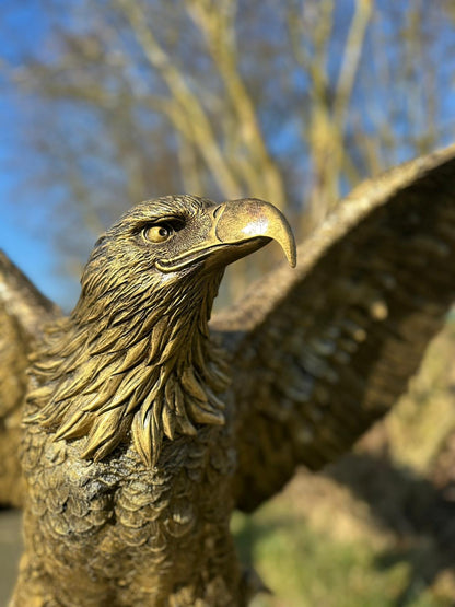 Zeer grote Adelaar op boomstam (225 breed en 215 hoog)