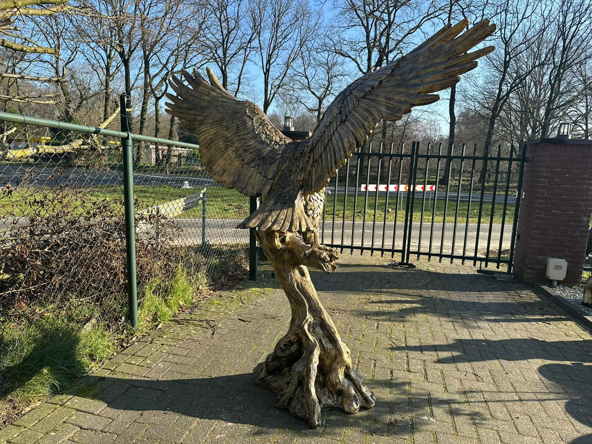Zeer grote Adelaar op boomstam (225 breed en 215 hoog)