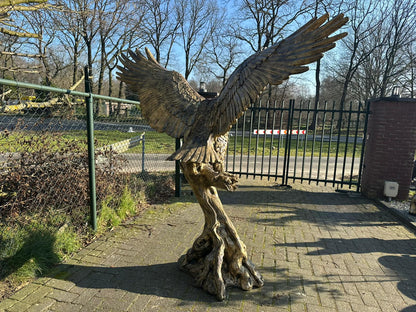 Zeer grote Adelaar op boomstam (225 breed en 215 hoog)