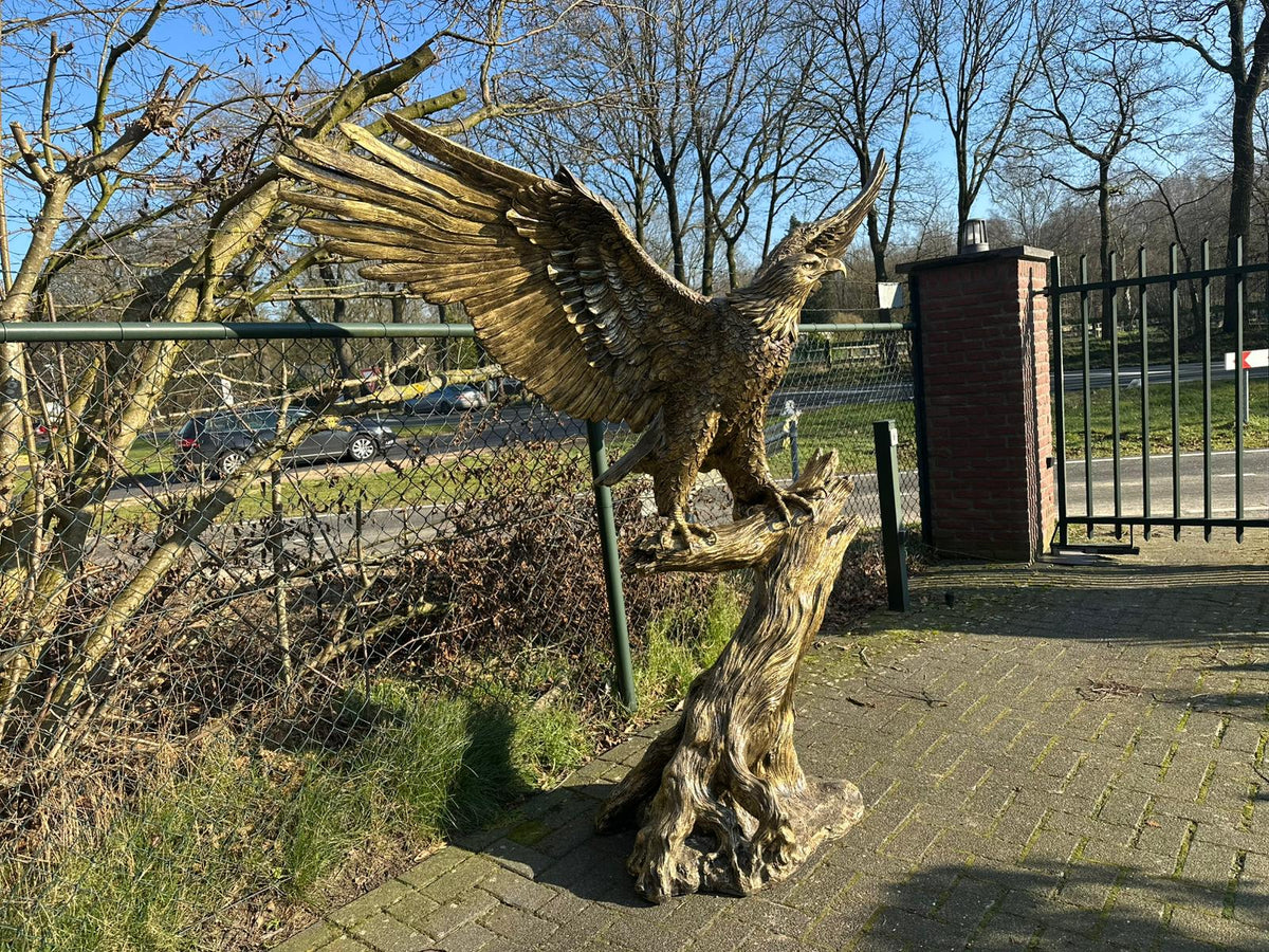 Zeer grote Adelaar op boomstam (225 breed en 215 hoog)