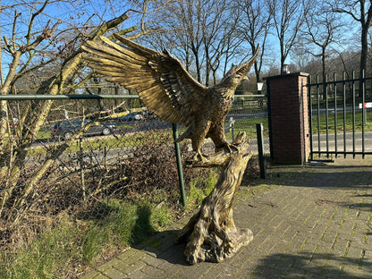 Zeer grote Adelaar op boomstam (225 breed en 215 hoog)