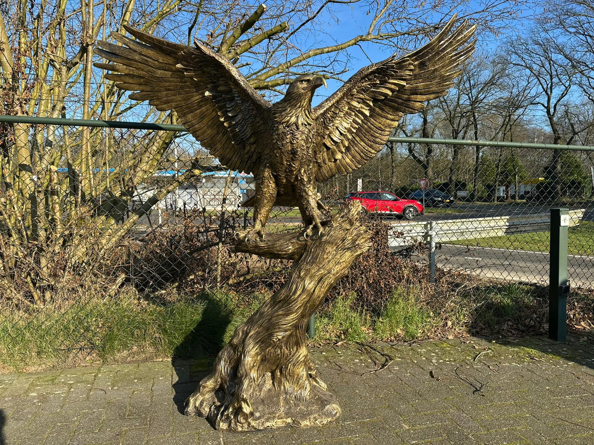 Zeer grote Adelaar op boomstam (225 breed en 215 hoog)