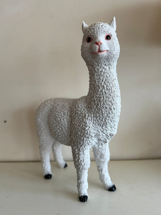 Alpaca- Alpacas - Staand - 60cm hoog - verschillende kleuren