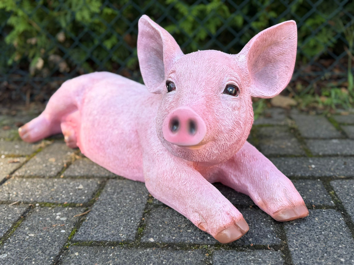 Boerderijdieren - Varkens - Big - Biggetjes - 70 cm lang -  verschillende modellen