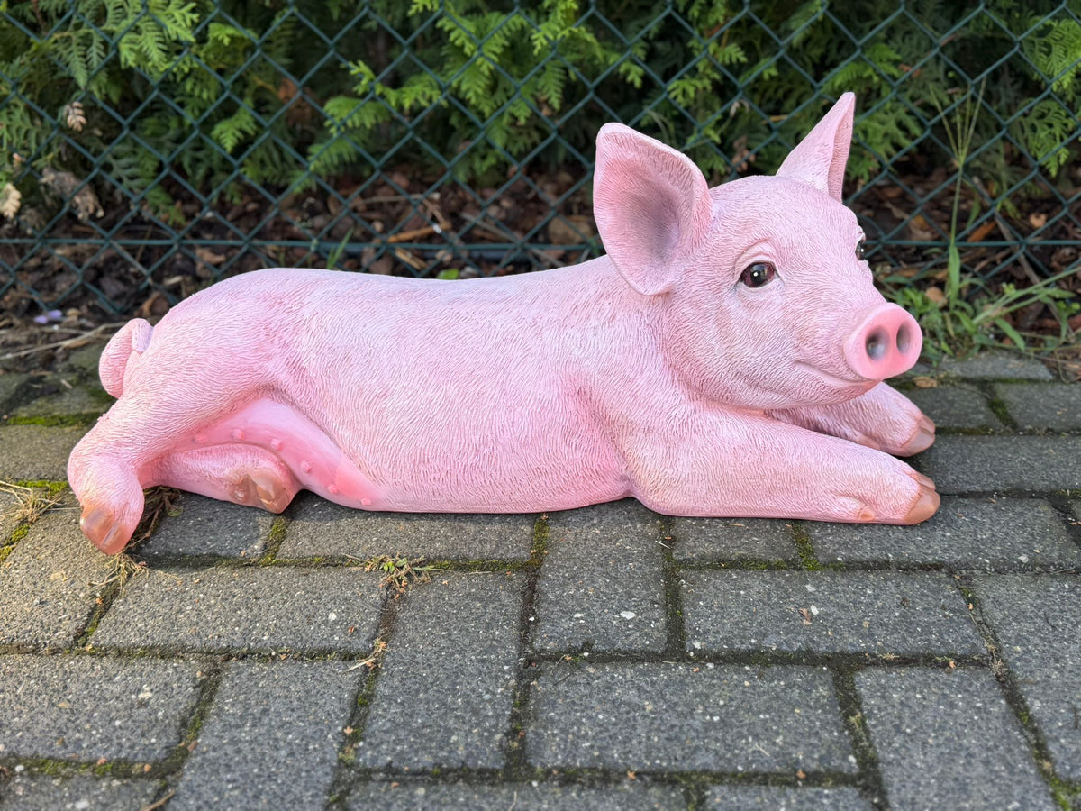 Boerderijdieren - Varkens - Big - Biggetjes - 70 cm lang -  verschillende modellen