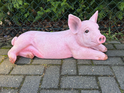 Boerderijdieren - Varkens - Big - Biggetjes - 70 cm lang -  verschillende modellen