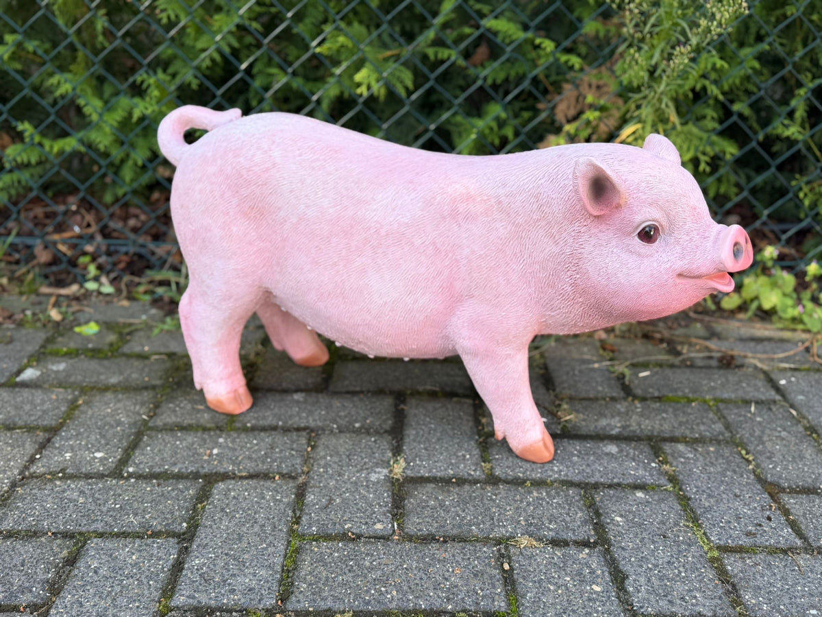 Boerderijdieren - Varkens - Big - Biggetjes - 70 cm lang -  verschillende modellen