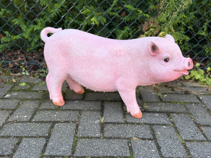 Boerderijdieren - Varkens - Big - Biggetjes - 70 cm lang -  verschillende modellen