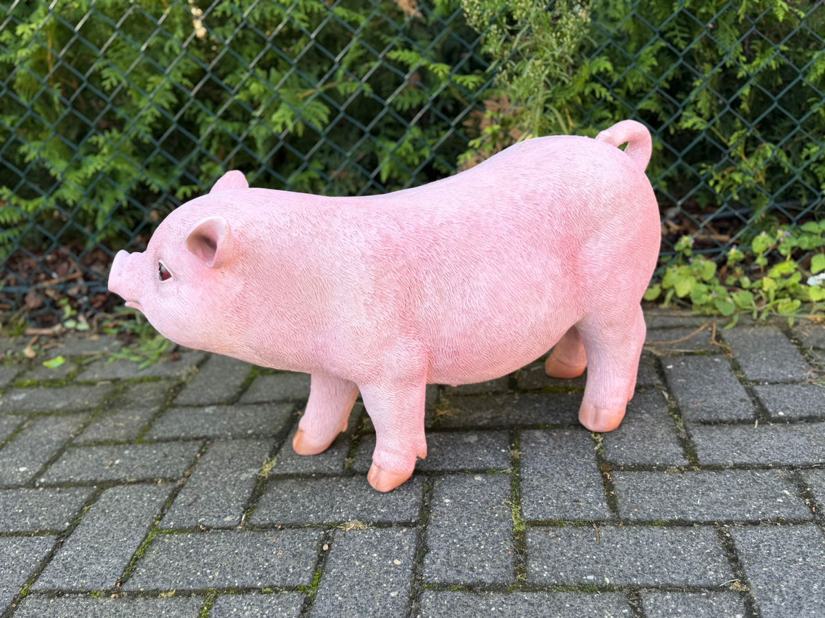 Boerderijdieren - Varkens - Big - Biggetjes - 70 cm lang -  verschillende modellen
