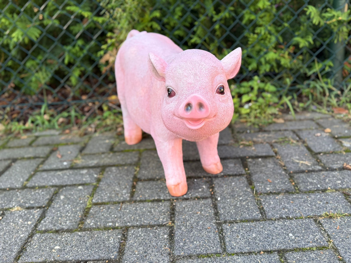 Boerderijdieren - Varkens - Big - Biggetjes - 70 cm lang -  verschillende modellen