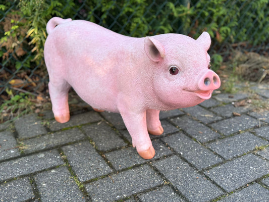 Boerderijdieren - Varkens - Big - Biggetjes - 70 cm lang -  verschillende modellen