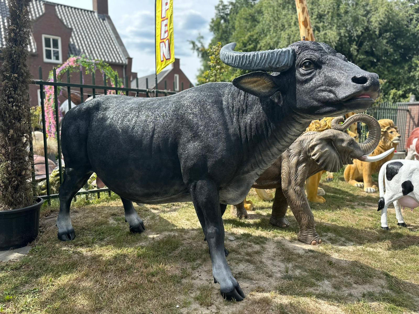 Buffel - Waterbuffel - zeer groot -