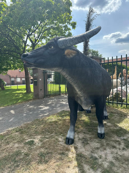 Buffel - Waterbuffel - zeer groot -
