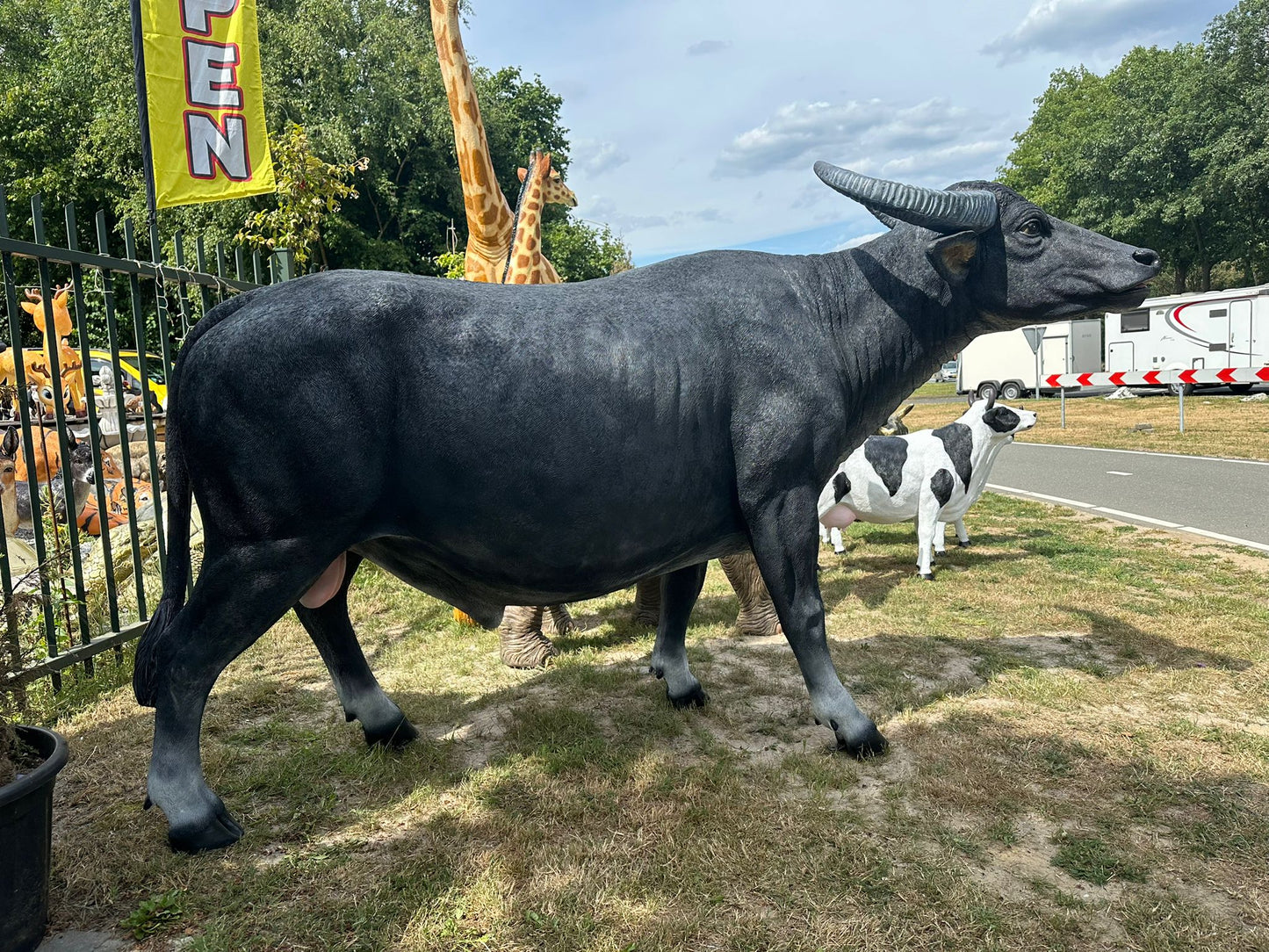 Buffel - Waterbuffel - zeer groot -
