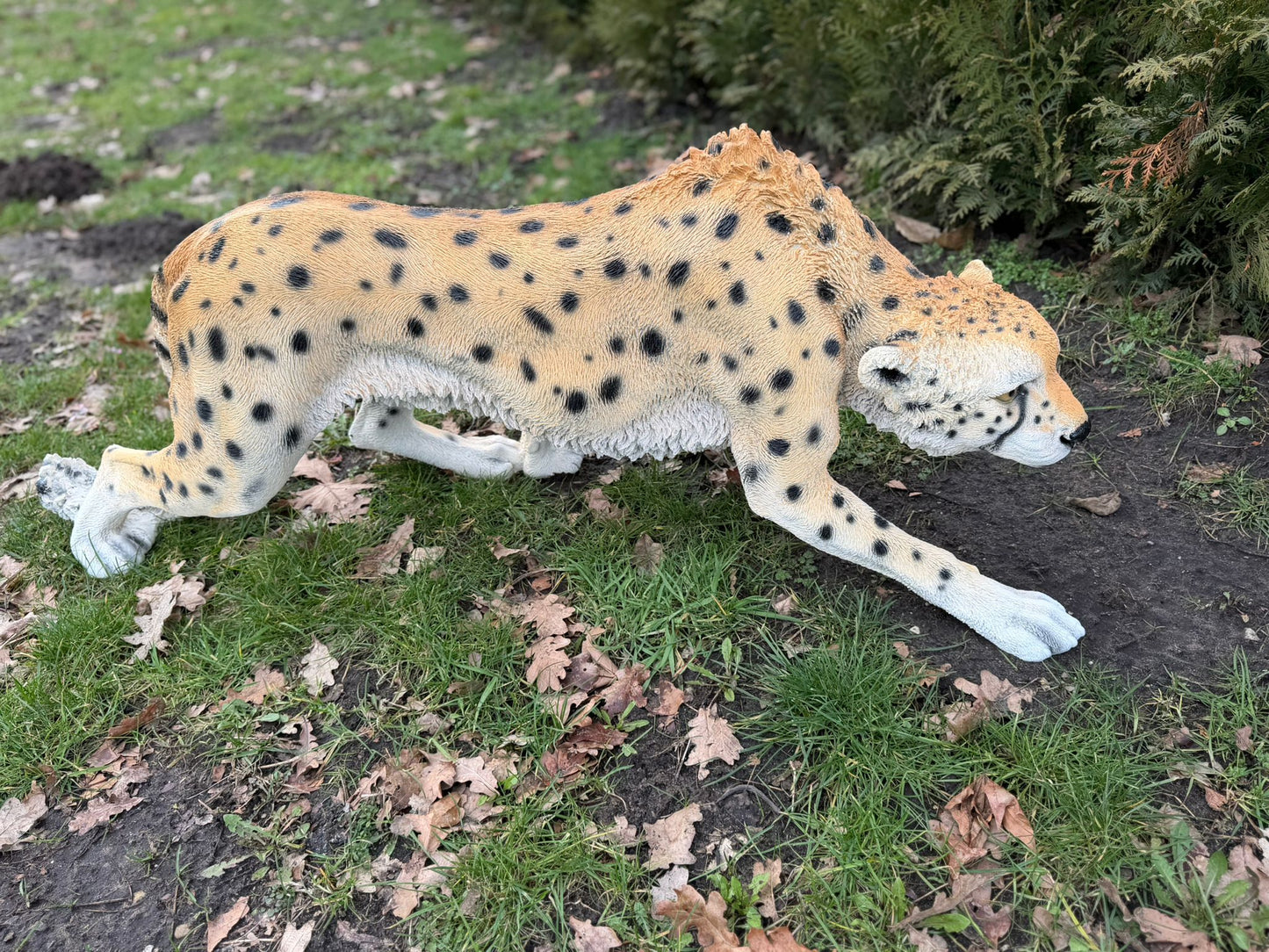 Cheetah - jachtluipaard - staand - 130cm lang
