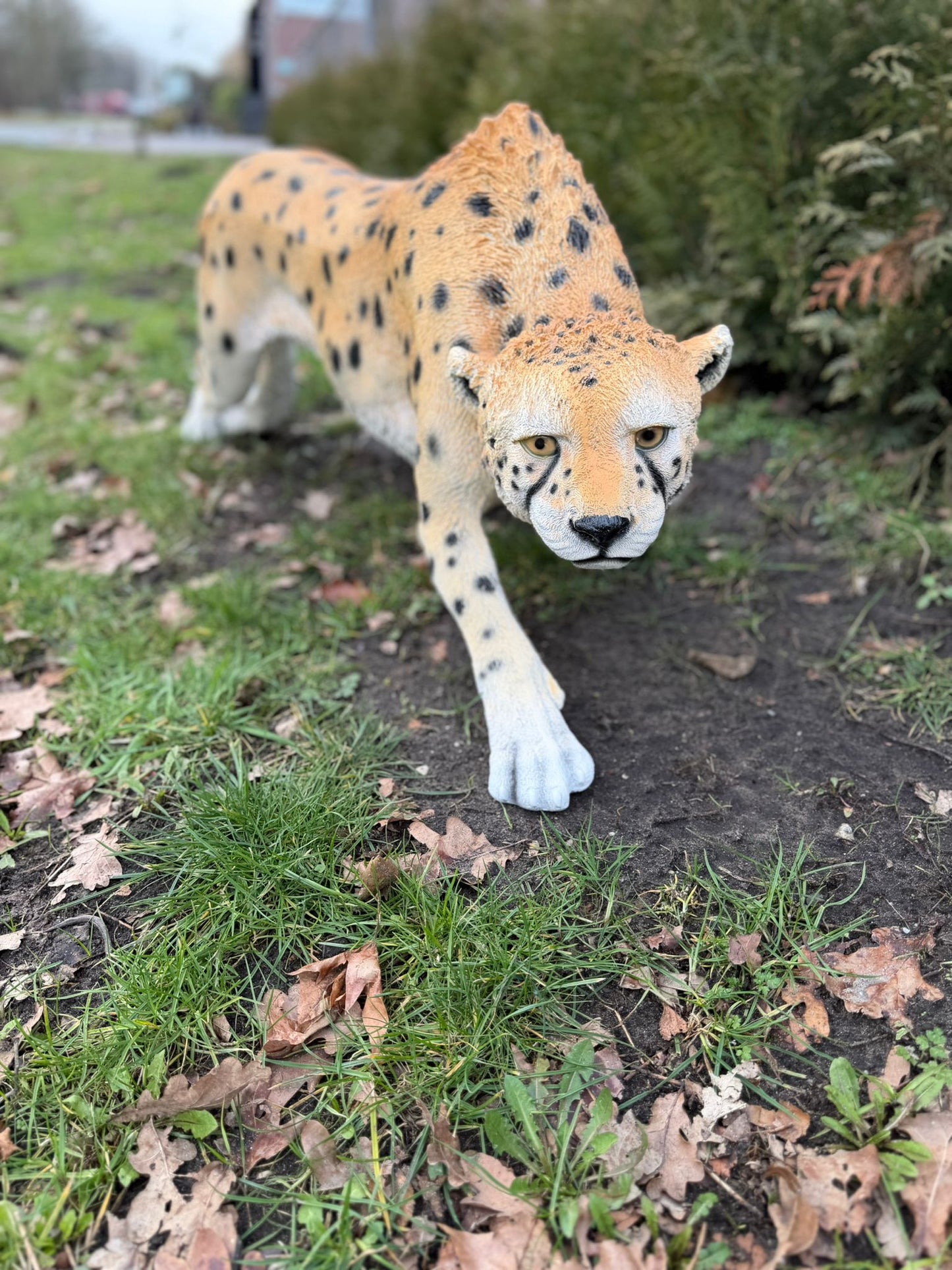 Cheetah - jachtluipaard - staand - 130cm lang