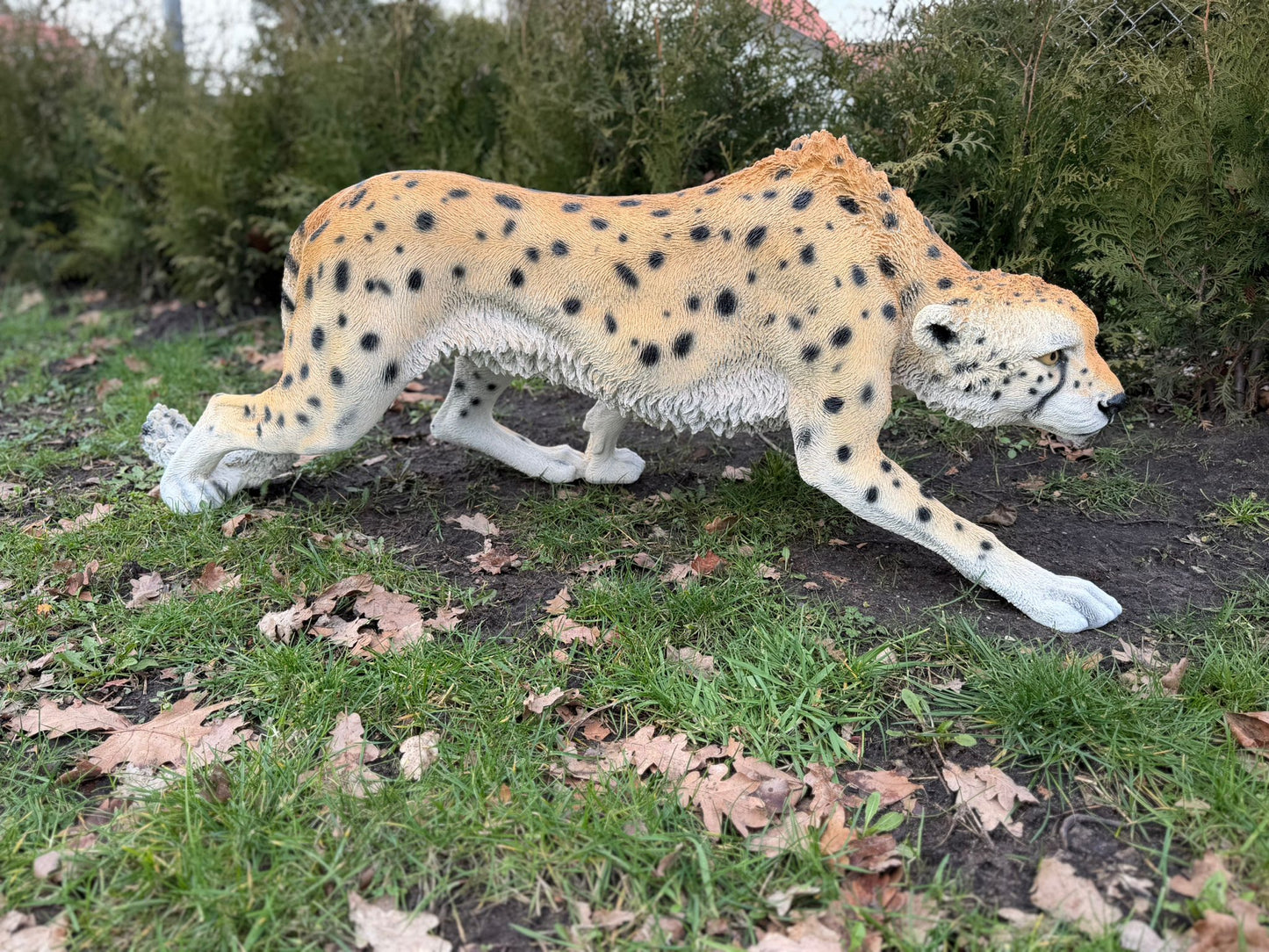 Cheetah - jachtluipaard - staand - 130cm lang