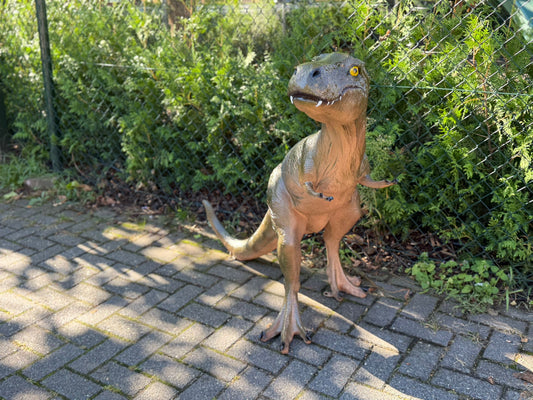 Dinosaurus serie - Dinosaurus - T-Rex - 100cm hoog en 130cm lang
