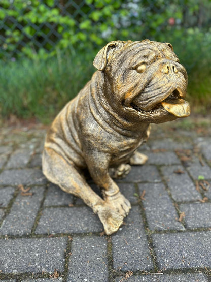 Engelse Buldog Buldog zittend (45cm hoog)