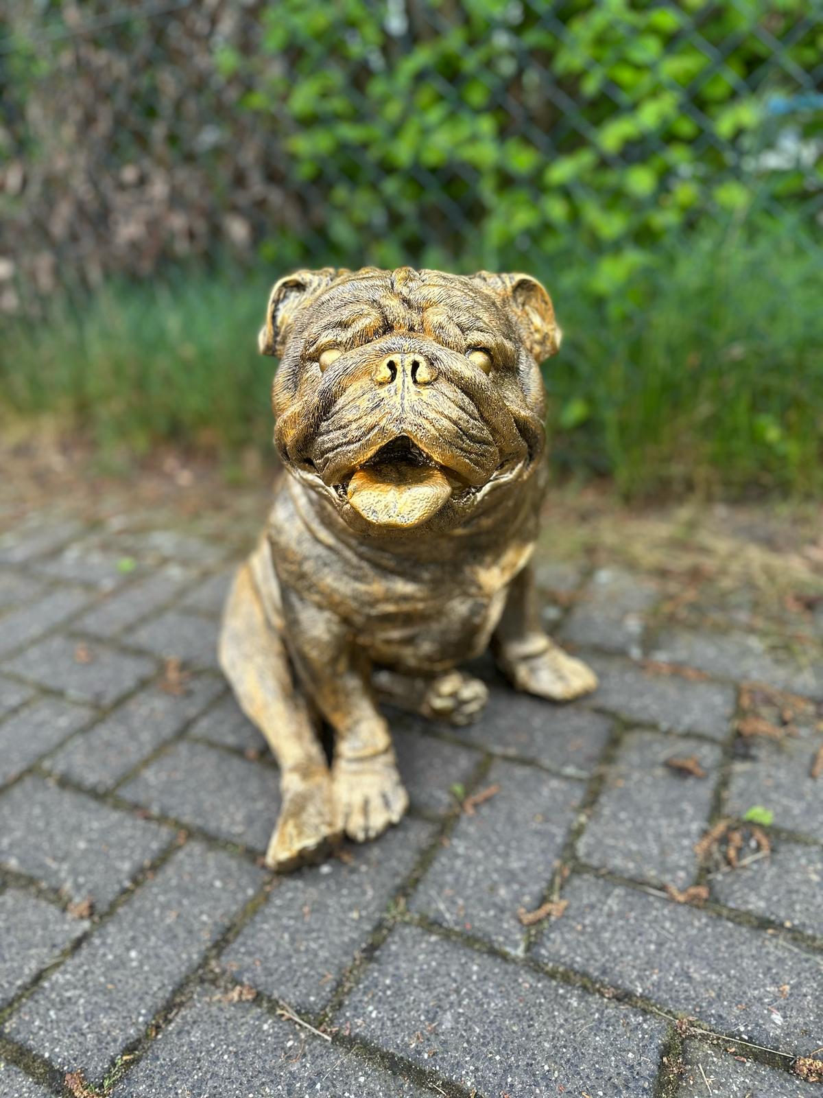 Engelse Buldog Buldog zittend (45cm hoog)