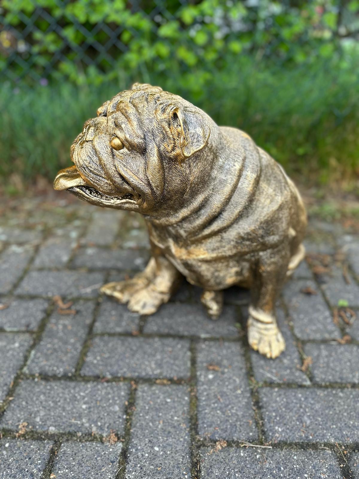 Engelse Buldog Buldog zittend (45cm hoog)