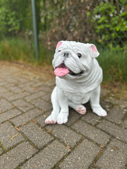 Engelse Buldog Buldog zittend (45cm hoog)