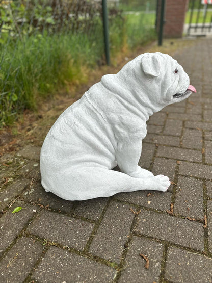 Engelse Buldog Buldog zittend (45cm hoog)