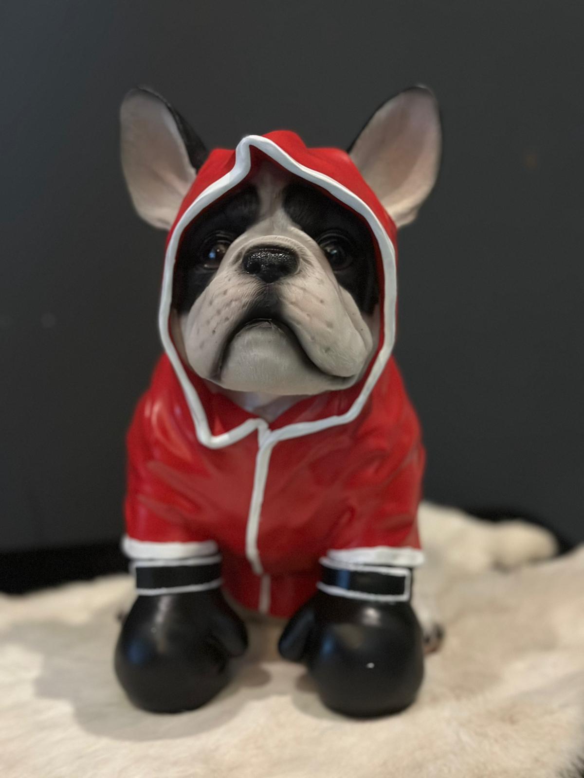 Franse Buldog - Buldog - Boxing Buldog - Brons of Rood - met handschoenen